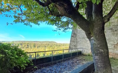Texte zum digitalen Stadtplan – Rosengarten auf der Burg
